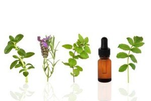 Best Essential Oils That Can Be Used For Their Healing Effects Essential Oil Benefits
