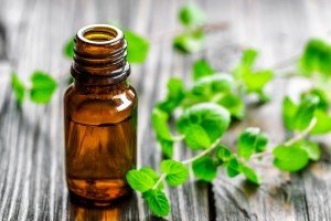 essential oils for healing tendons