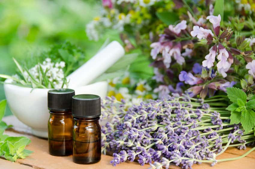 Essential Oils For Autism: Beating Autism Spectrum Disorder One Step At A Time Essential Oil Benefits