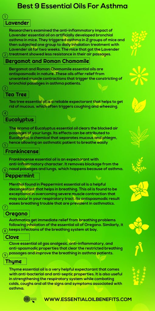 Can Essential Oils be Used for Asthma Treatment? | Essential Oil Benefits - Essential Oils For Apartment Asthma Sufferers