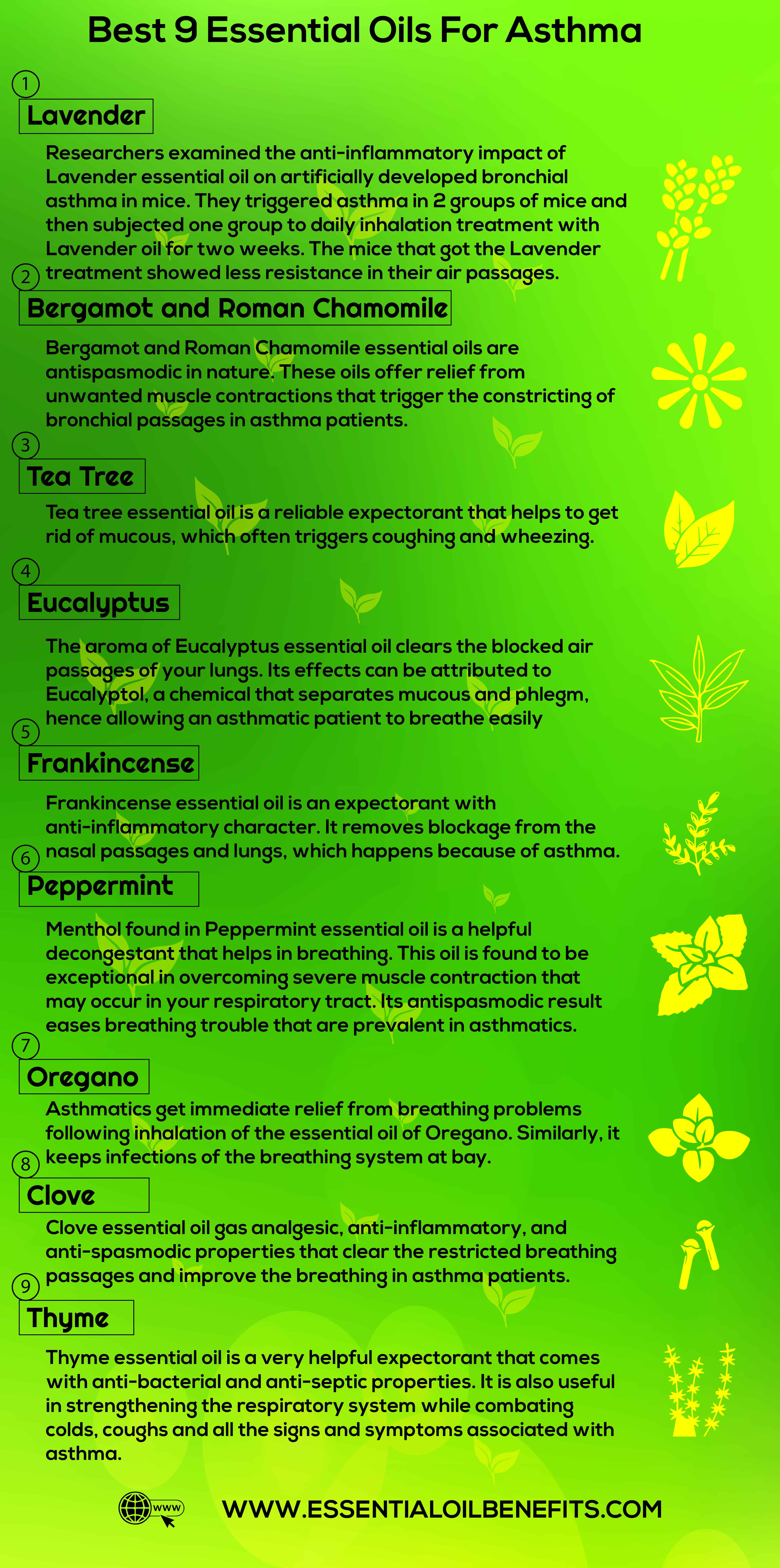 What Are The Best Essential Oils and Recipes For Asthma Relief And Treatment? Essential Oil Benefits