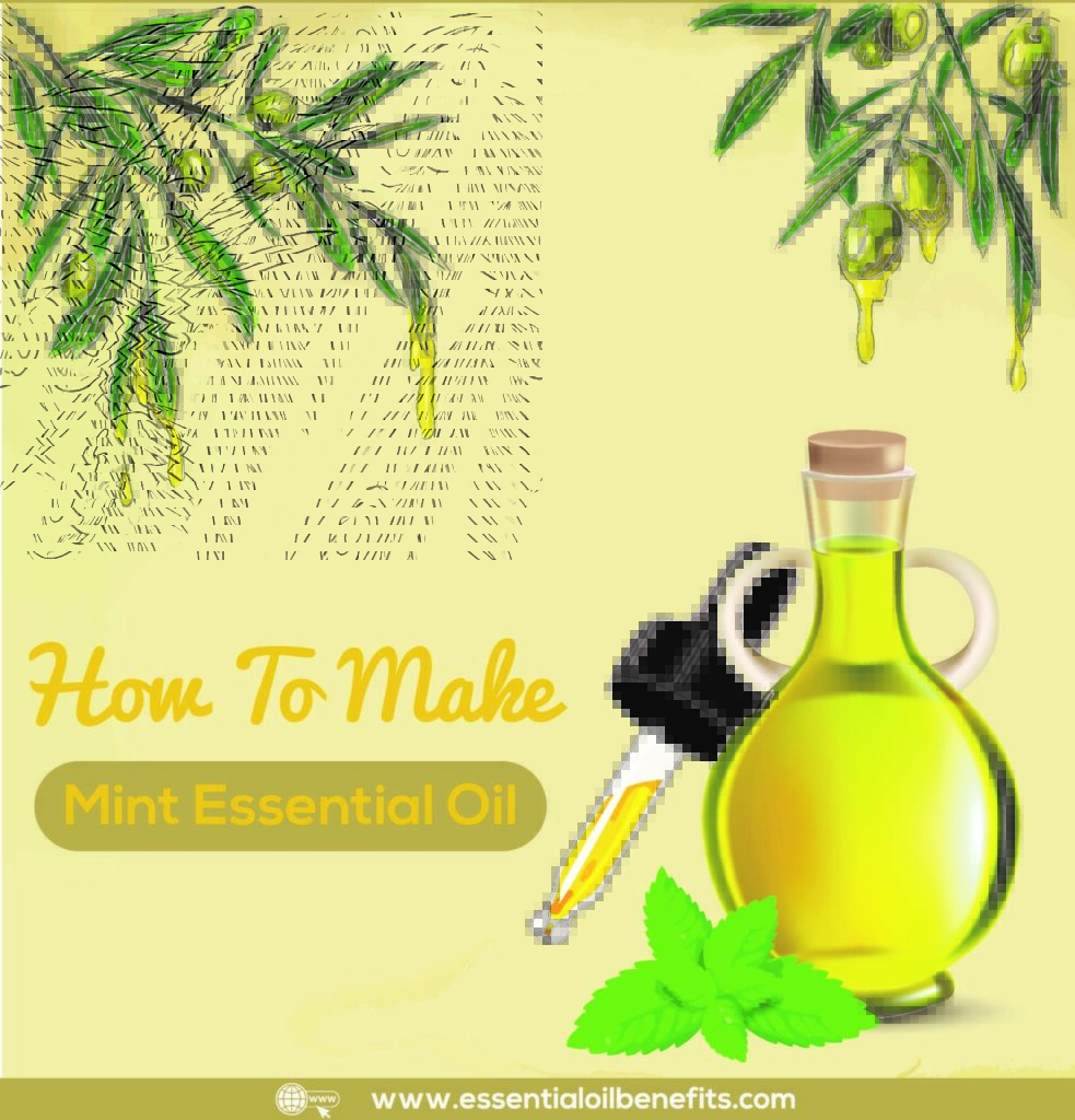 How to Make Essential Oils? Essential Oil Benefits