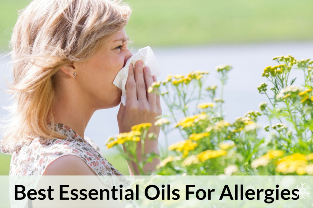 Essential Oils And Their Effectiveness In The Treatment Of Allergies Essential Oil Benefits