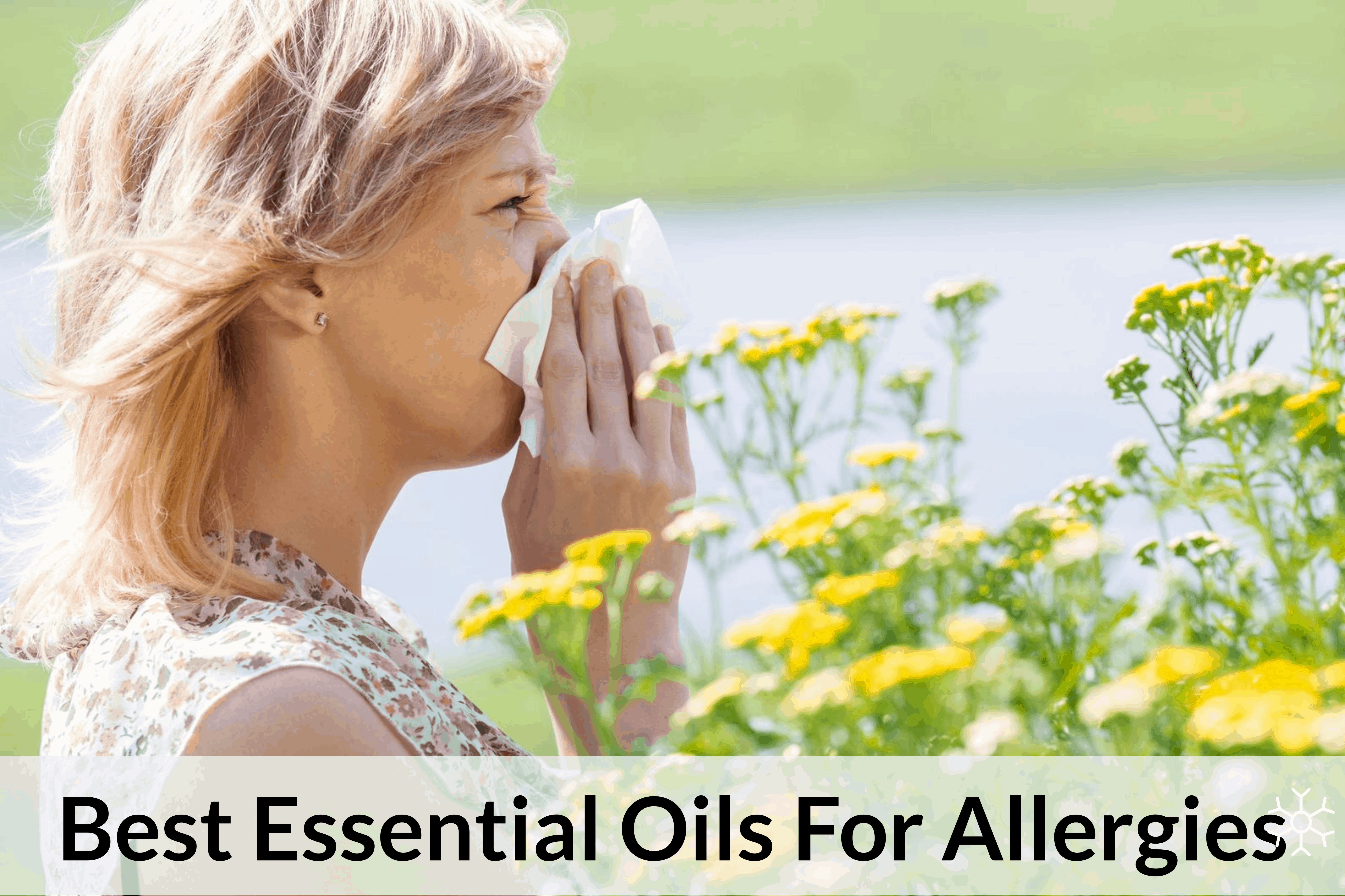 Essential Oils And Their Effectiveness In The Treatment Of Allergies ...