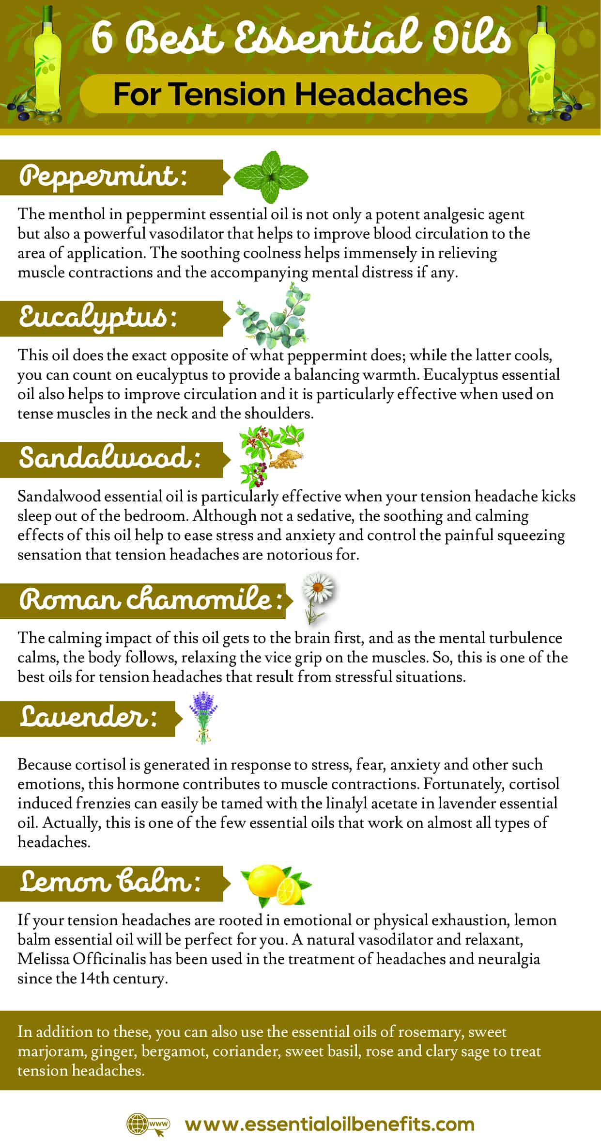 Best Essential Oil Recipes For Tension Headaches ...