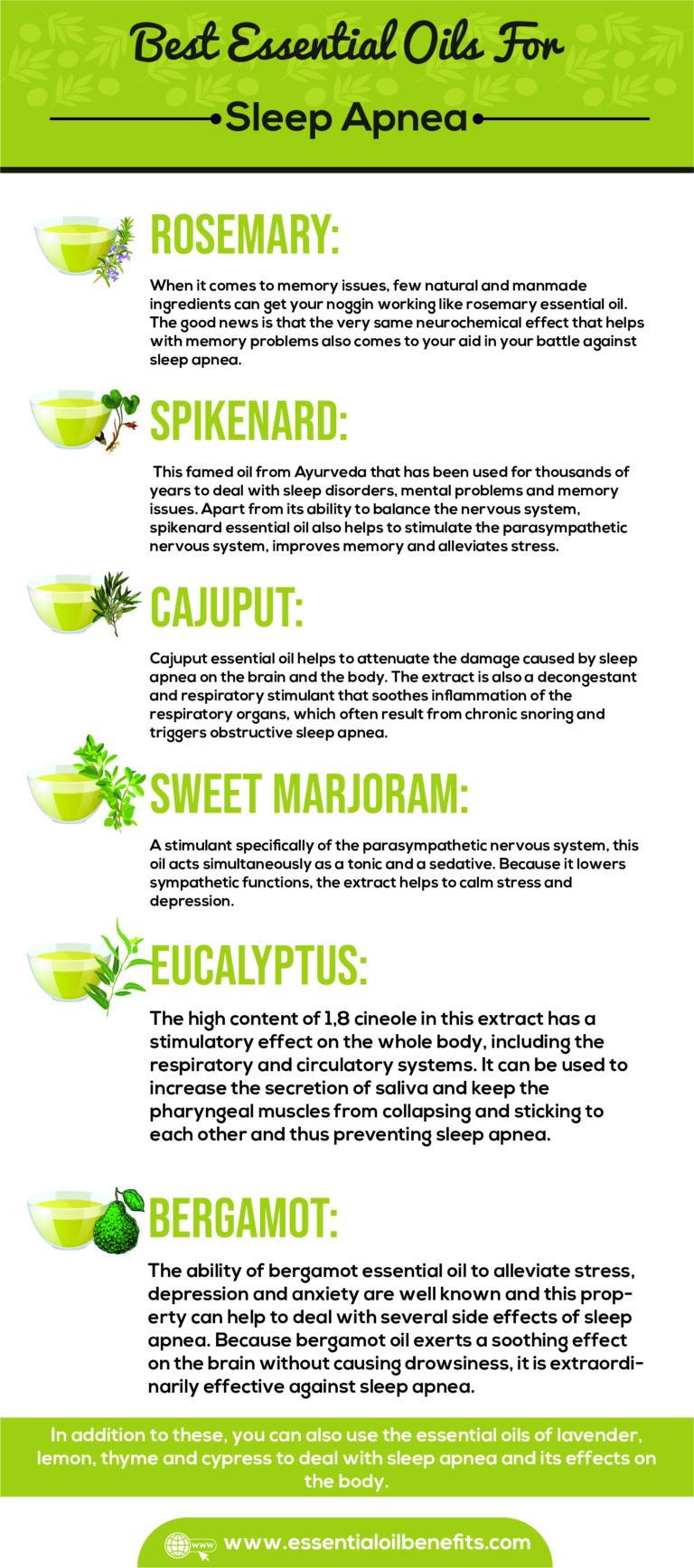 Best Essential Oils To Use For The Treatment Of Sleep Apnea Essential