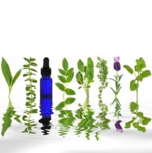 Best Essential Oils That Can Be Used For Their Healing Effects Essential Oil Benefits