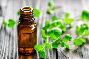 Best Essential Oils That Can Be Used For Their Healing Effects Essential Oil Benefits