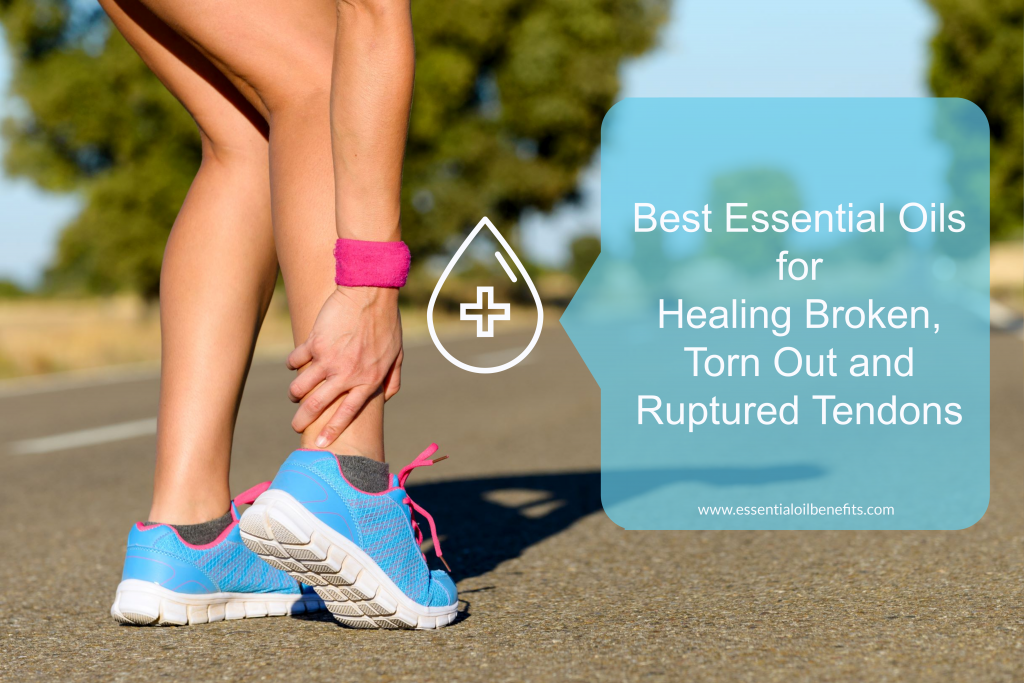 What Are the Best Essential Oils And Recipes For Healing Broken, Torn Out And Pulled Tendons Essential Oil Benefits