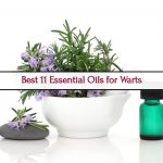 How To Use Essential Oils For The Best Possible Elimination Of Warts?