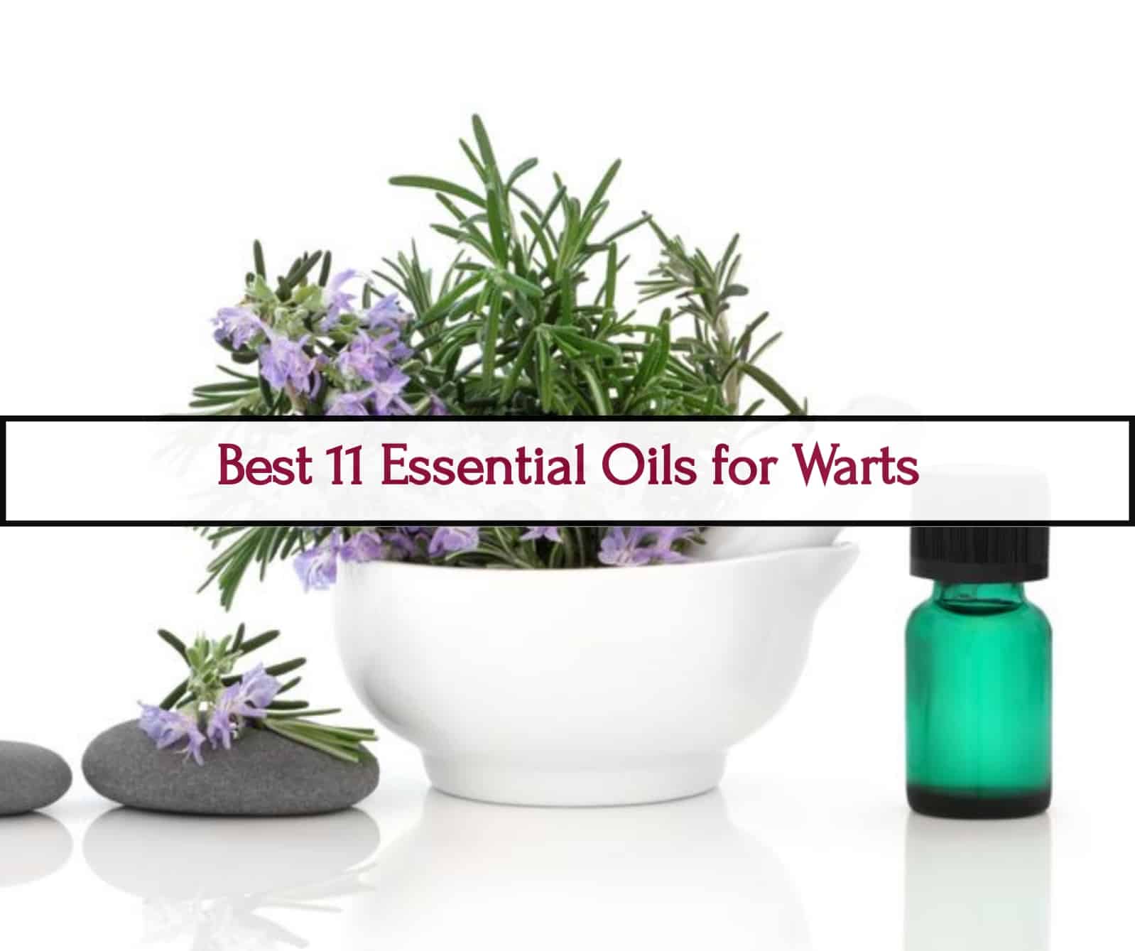 essential oils for warts