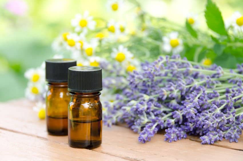 best-essential-oils-for-nail-fungus