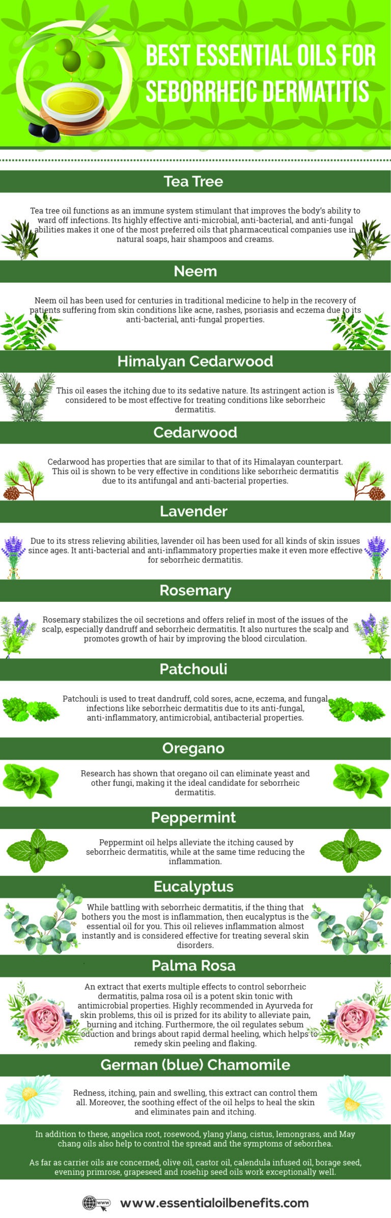 12 Essential Oils for Seborrheic Dermatitis Essential Oil Benefits