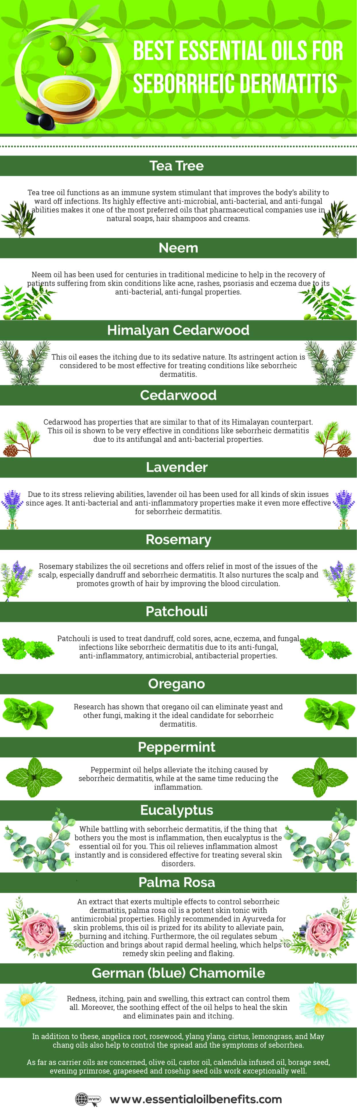 12 Essential Oils For Seborrheic Dermatitis Essential Oil Benefits