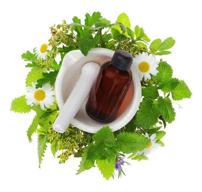 essential oils for itch relief