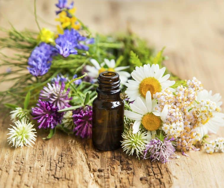 Can Dandruff And Itchy Scalp Be Cured Using Essential Oils Essential Oil Benefits