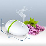 Deneve Essential Oil Diffuser Riverock Review Essential Oil Benefits