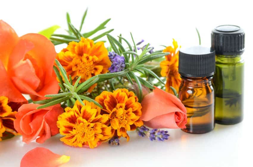 The Ultimate Insider’s Guide To Buying Essential Oils Essential Oil Benefits