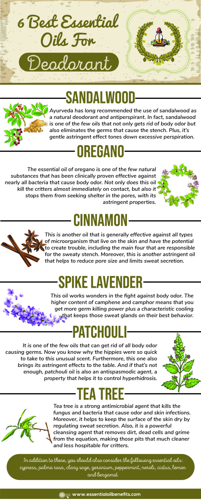 How Do You Get Rid Of Body Odor Using Essential Oils and 5 Home