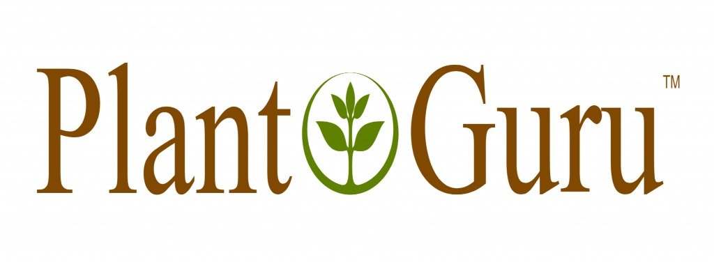 My Objective Review Of Plant Guru Essential Oil Benefits
