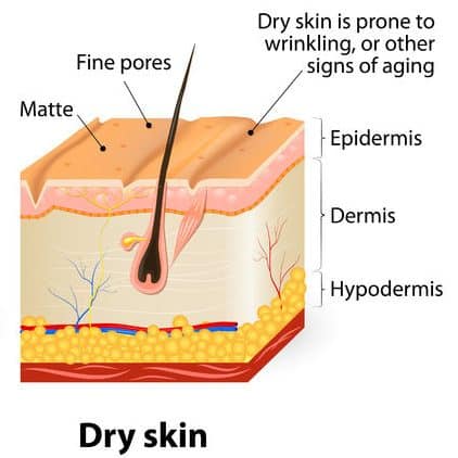 If You Don’t Know Your Skin Type, All Skincare Products Can Be Dangerous! Essential Oil Benefits