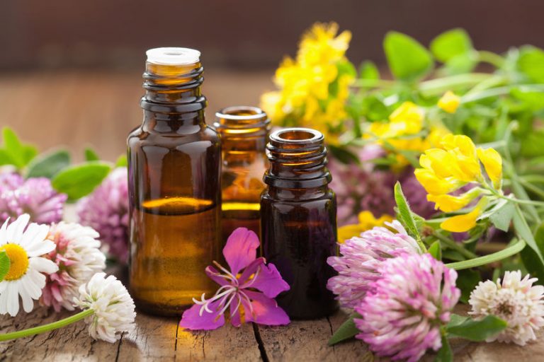 Where To Buy Essential Oils Reviews Of The Top 9 EO Companies