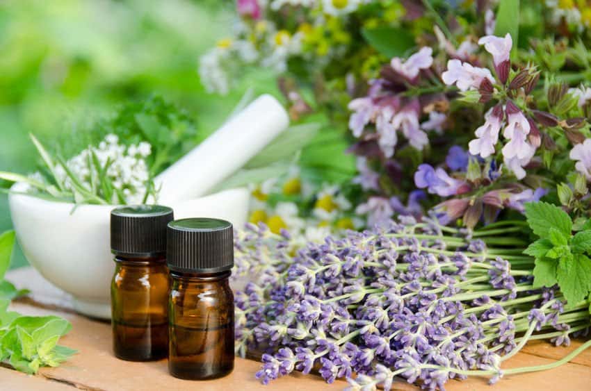 Essential Oils For Constipation: When Huffing And Grunting Won’t Work Essential Oil Benefits