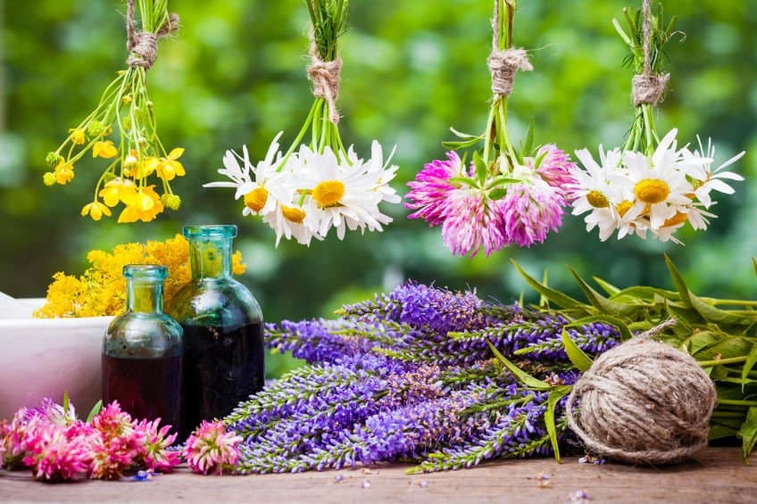 5 Amazing Essential Oils For Massage Therapy And How To Use Them Essential Oil Benefits