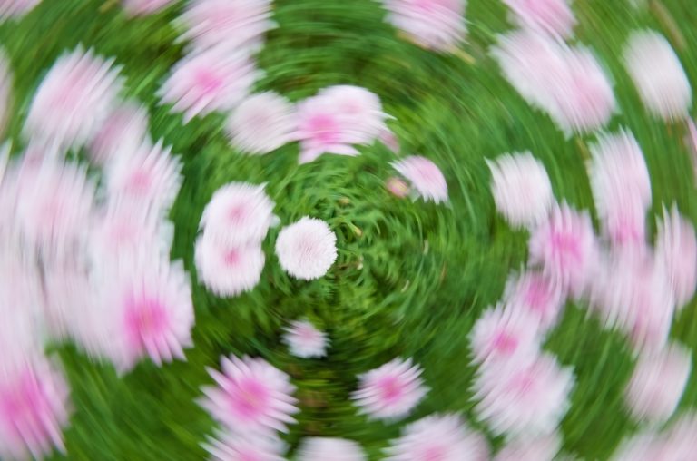 Essential Oils For Vertigo