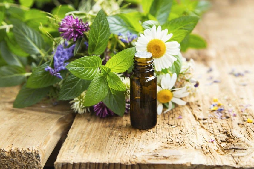 Essential Oils For Memory Loss, Alzheimer’s and Dementia