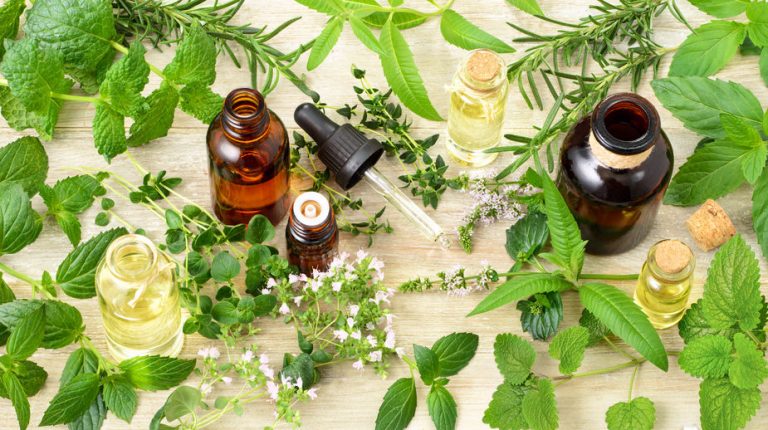 Essential Oils For Lyme Disease The Tick Bite That Really Sticks With