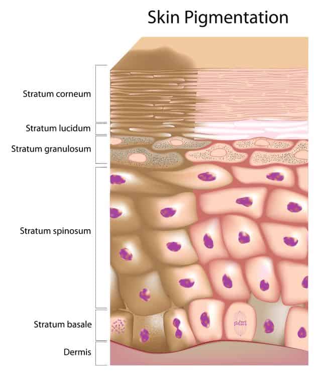 What Are The Best Essential Oils And Recipes For Hyperpigmentation: A Ray Of Light From Mother Nature To Lighten Your Skin! Essential Oil Benefits