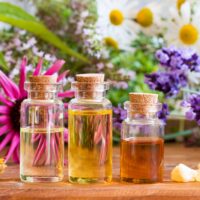Best Essential Oils for Aromatherapy
