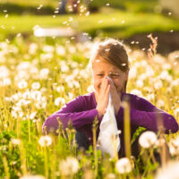 Best Essential Oils for Hay Fever
