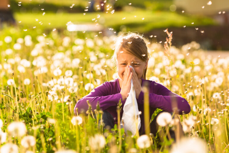 Best Essential Oils for Hay Fever