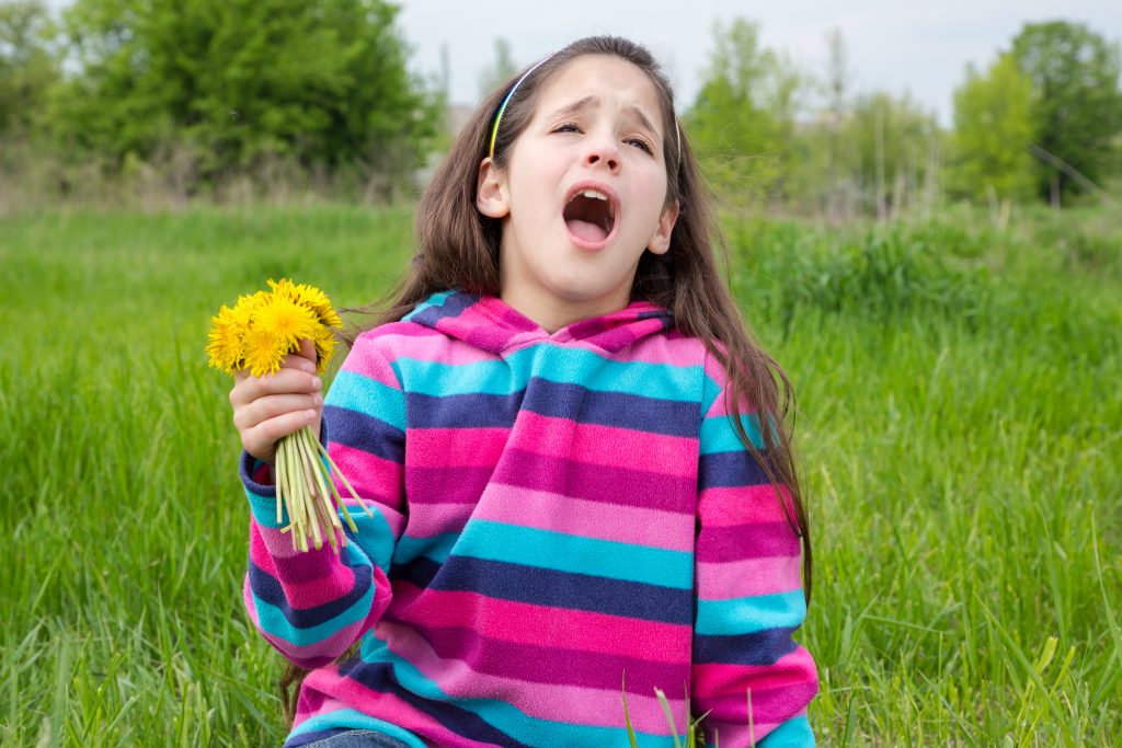 Essential Oils For Hay Fever: And No, It’s Not What You Get When You Smoke Too Much Grass Essential Oil Benefits