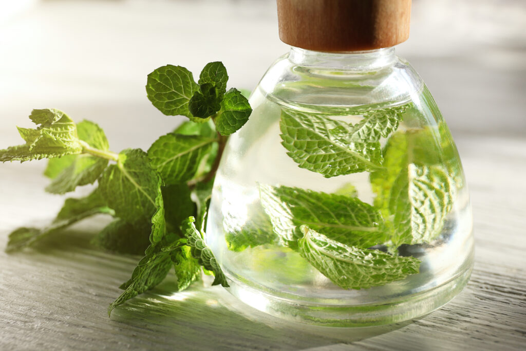 36 Essential Oil Substitutes You Can Make Essential Oil Benefits