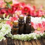 Essential Oils For Bed Bugs: Will The Real Slim Shady Vampire Please Stand Up?