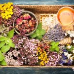 Essential Oil For Receding Gums – Brighten Up Someone’s Day With A Healthy Smile