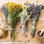 Essential Oils For Moths: The Ugly Butterfly That’ll Leave You Naked, Blind And Breathless