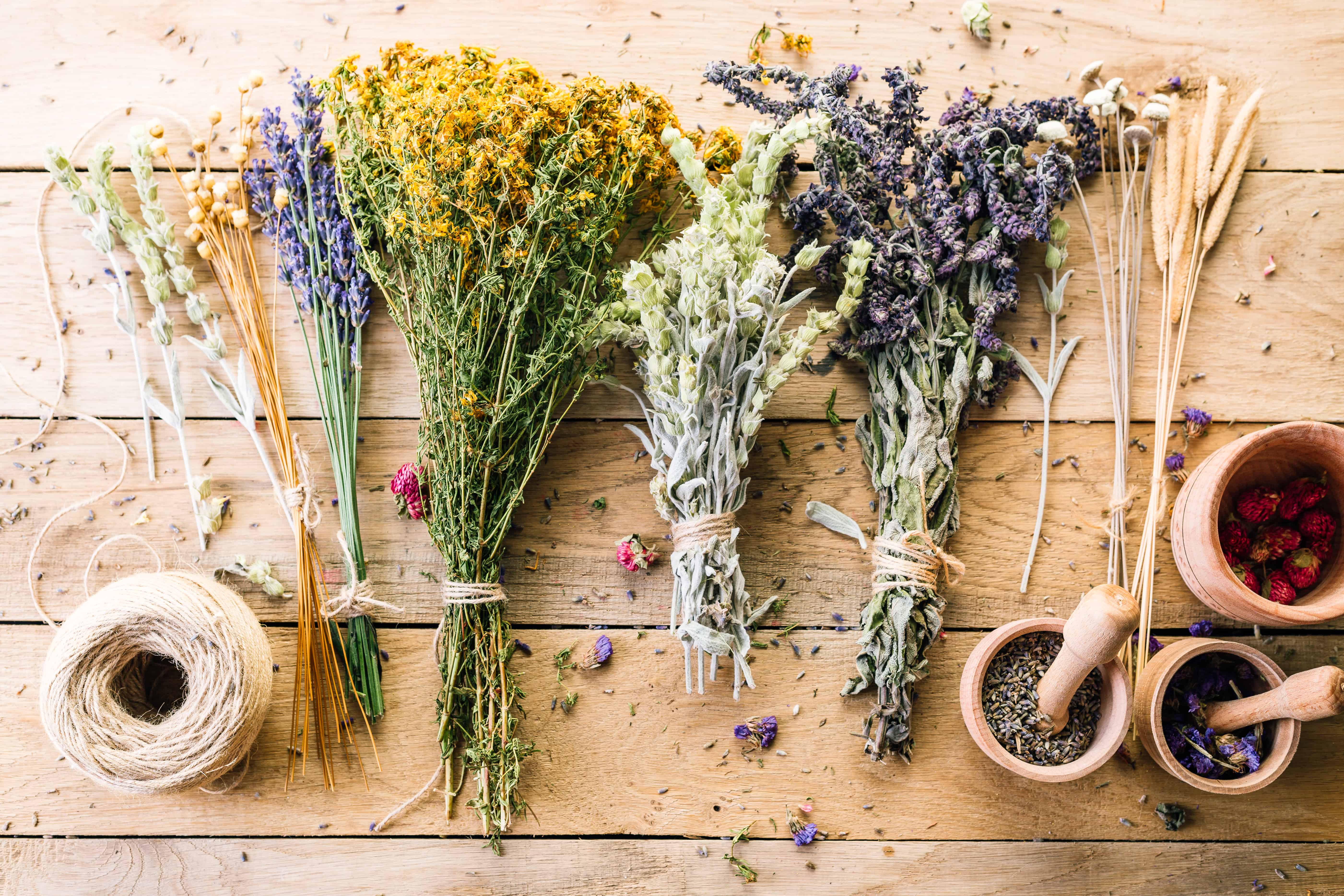 Essential Oils For Moths The Ugly Butterfly That’ll Leave You Naked