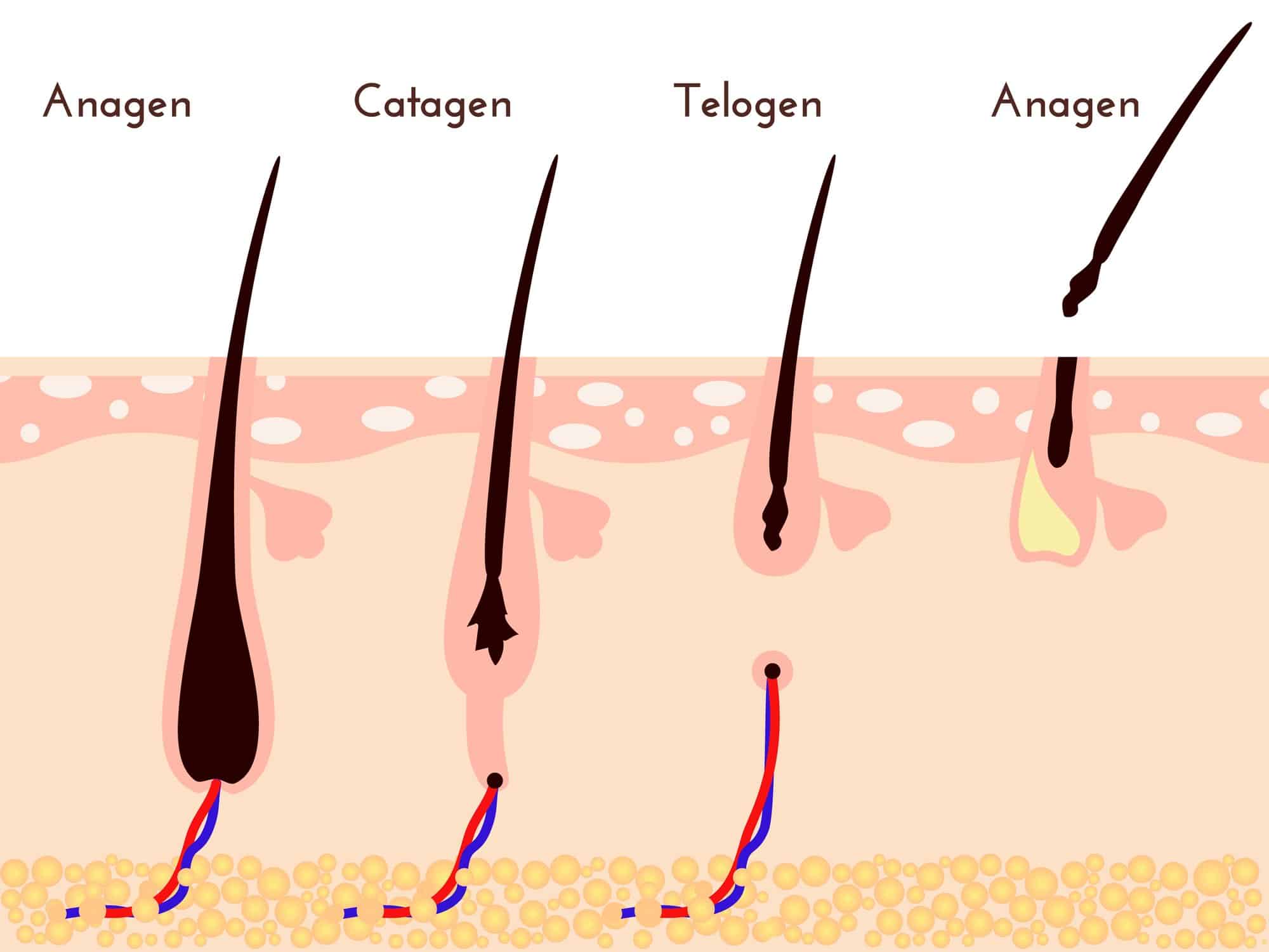 No Pull, No Pain Ways To Get Rid Of Facial Hair (Hirsutism): Essential Oils To The Rescue! Essential Oil Benefits