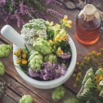Essential Oils To Get Rid Of Flies – How To Stop These Pesky Space Invaders!