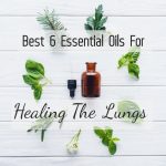 How To Use Essential Oils For Best Possible Results In Lung Healing?