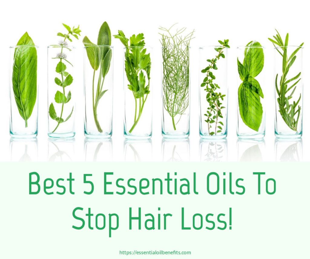 Essential Oils For Hair Loss, Hair Thinning And Alopecia Essential Oil Benefits