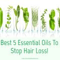 essential oils for hair loss