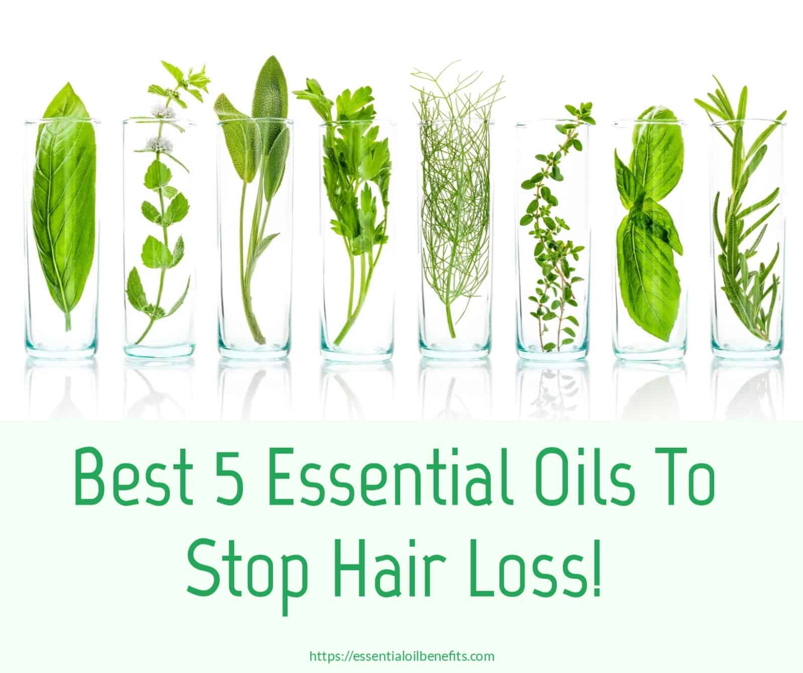 essential oils for hair loss