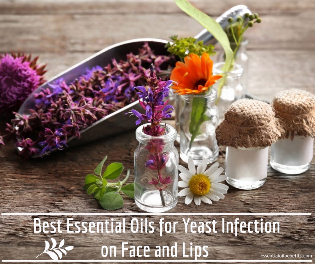 Can You Use Essential Oils For Yeast Infection On Face And Lips Essential Oil Benefits