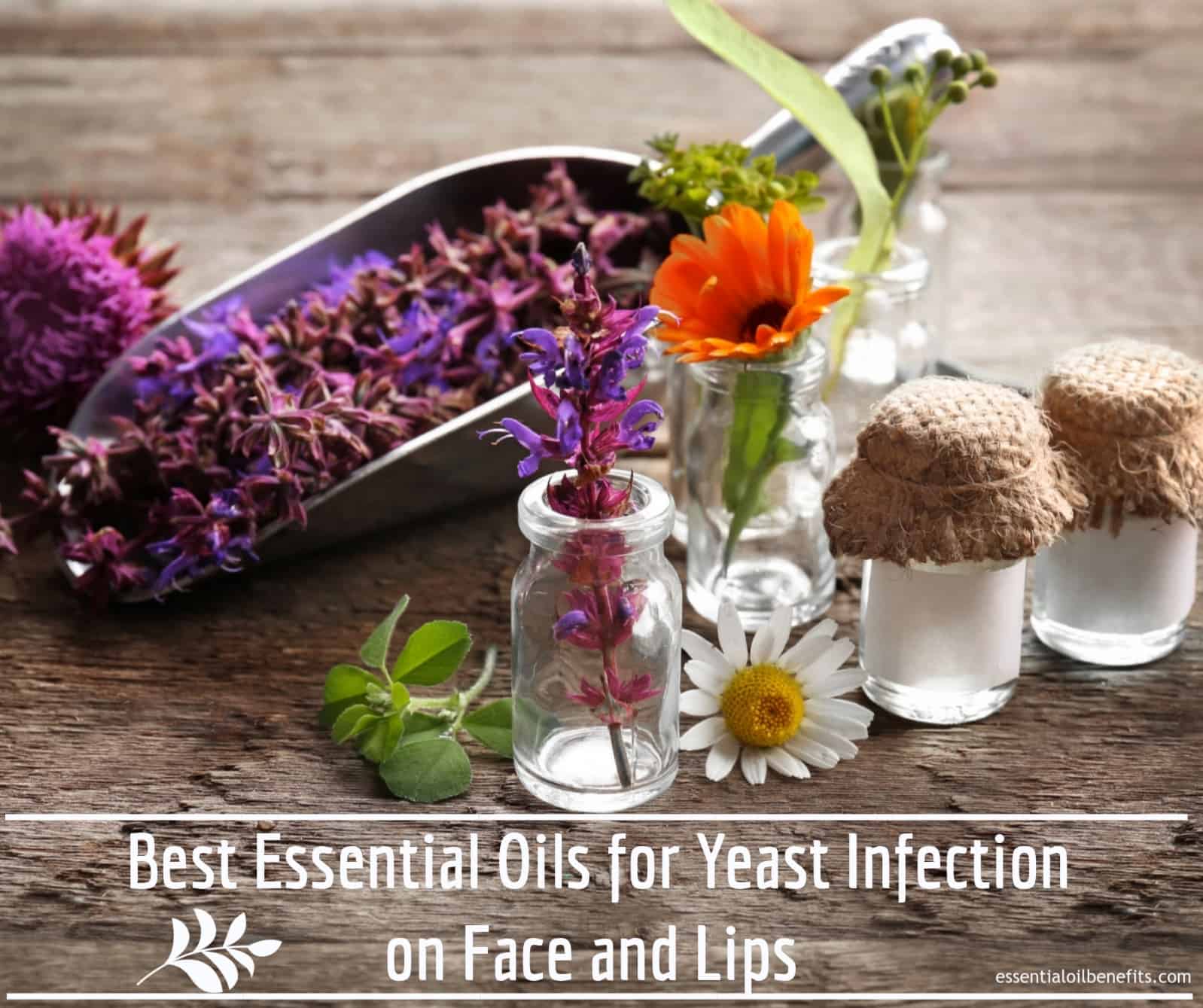 essential oils for yeast infection on face and lips