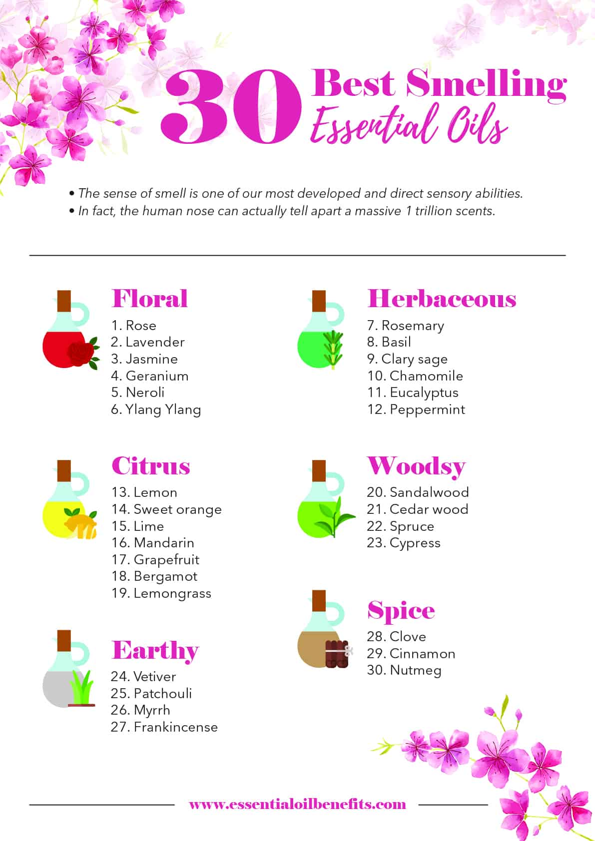 The Ultimate List of 30 Best Smelling Essential Oils! Essential Oil Benefits